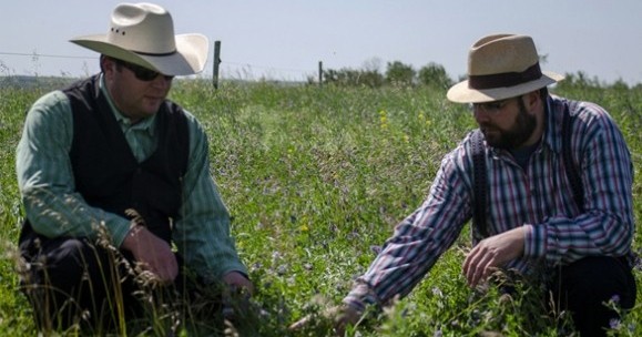The Secret Life of Soil